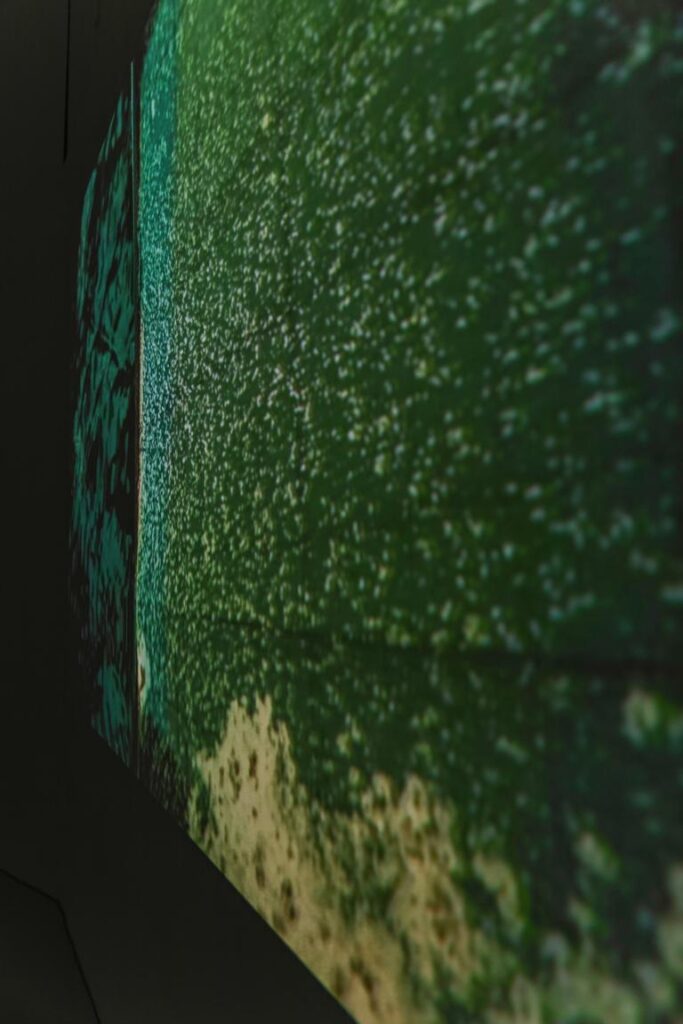 _SDI0611